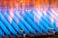 Reddings gas fired boilers